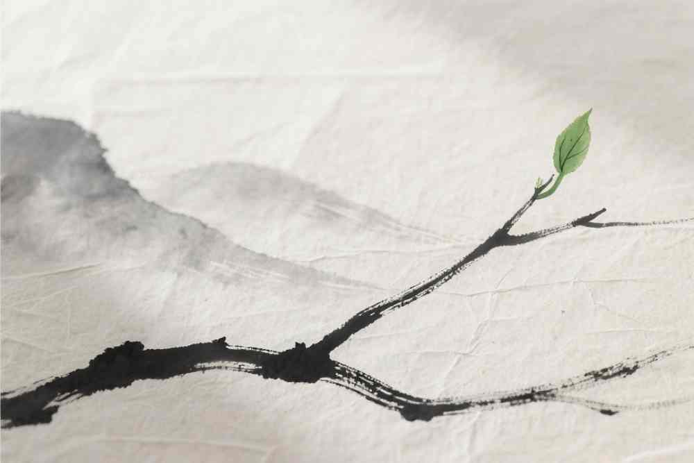 Rama con un brote verde sobre papel reciclado simbolizando una propuesta que empieza a crecer.